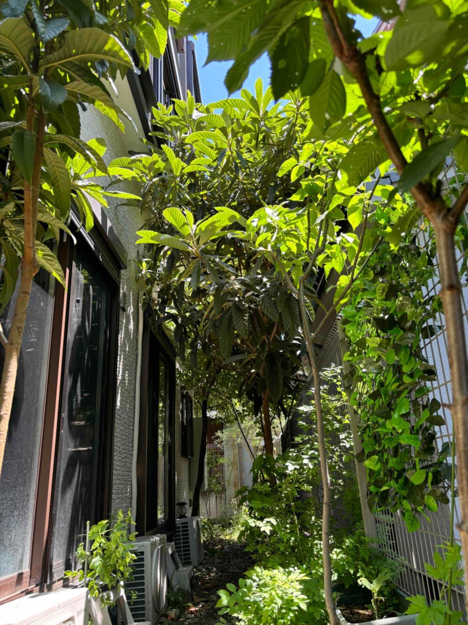 אוסקה Guest House Harukawa מראה חיצוני תמונה