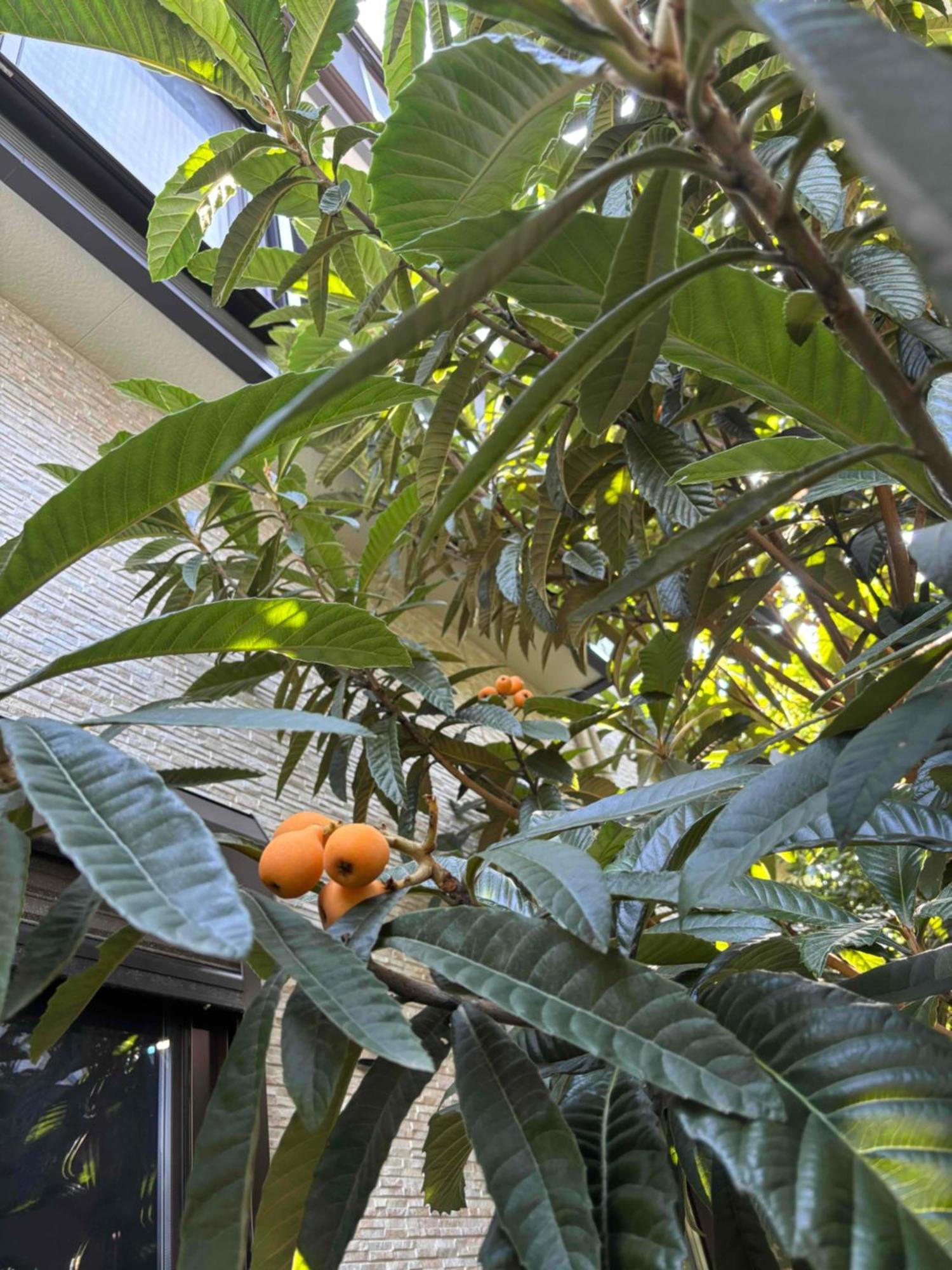 אוסקה Guest House Harukawa מראה חיצוני תמונה